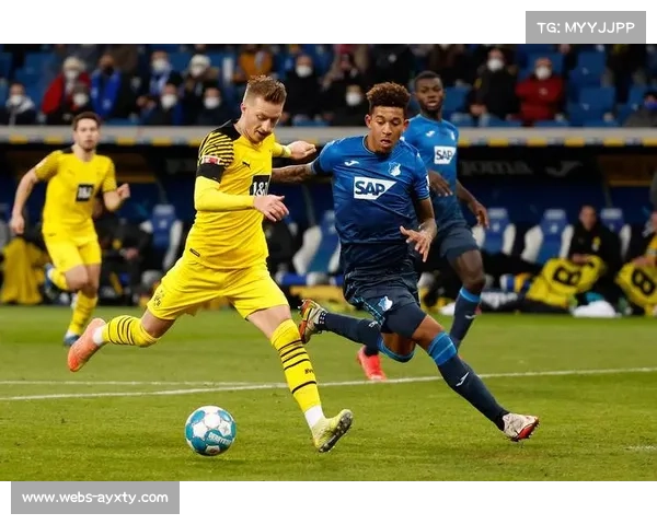 德甲欧战资格竞争白热化，霍芬海姆勒沃库森卡位战